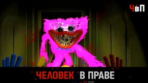 «Человек в праве» с Андреем Куницыным. Выпуск от 21 мая 2023 года
