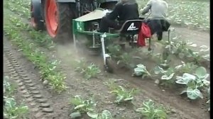 Агродирект представляет прополочник - Эко коректор! Прополка капусты от Asa Lift.