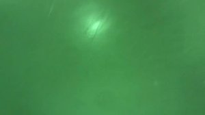 ПОМЕНЯЛА EDEA ICE-FLY на NORDWAY ALICE?! Важно ли выбирать профессиональные коньки для занятий ?