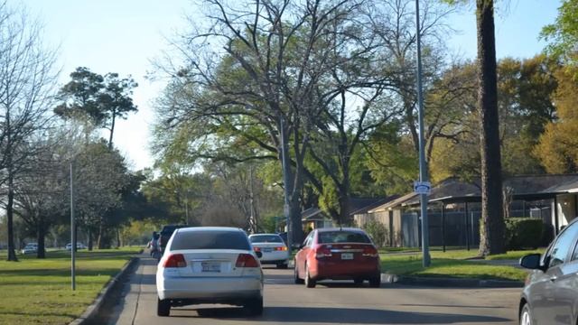 NIKON D3100 CAMERA TEST!! смотреть онлайн