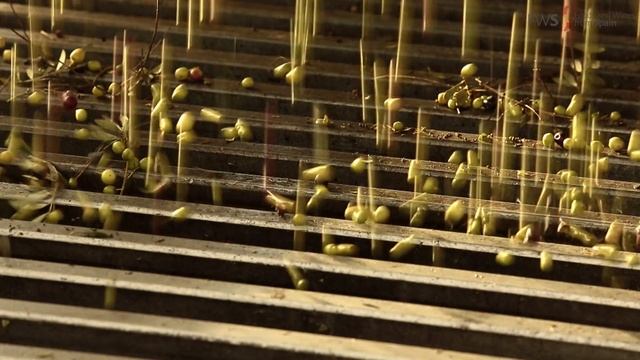 Spain’s Pantry: Extra Virgin Olive Oil смотреть онлайн