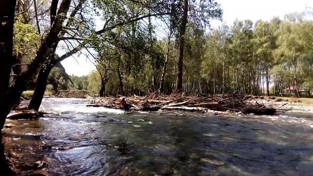 Изящность Усть-Коксинского района на Юге Горного Алтая