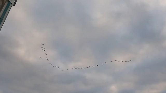 14.01 Анапа. смотреть онлайн