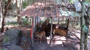 ВЬЕТНАМ. ФУКУОК. #5 ПОЕЗДКА НА СЕВЕР ОСТРОВА. январь 2020