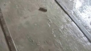 Перекрытие по швеллерам с заполнением ФиброПЕНОБЕТОНОМ. Часть 3 ОКОНЧАНИЕ работ.