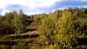 Станция Николо Полома. Северная железная дорога.