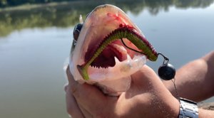 река Свияга | тейл спиннер Kosadaka | спиннинг с берега