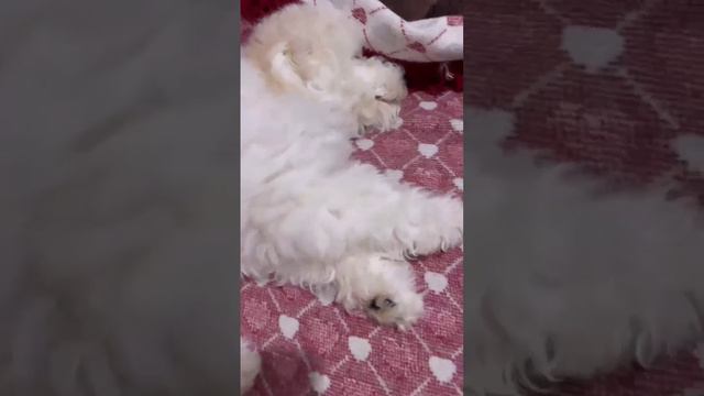 Не хочу работать