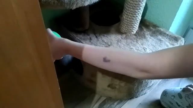 Что будет делать кот с заводной игрушкой??? смотреть онлайн