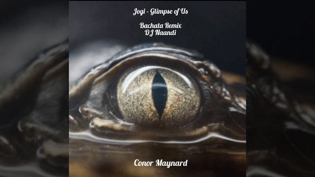 Joji - Glimpse of Us | Conor Maynard | Bachata Remix - DJ Naandi смотреть онлайн