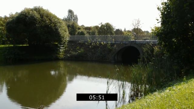 ТЕЩА И ЗЯТЬ – СЛУЧАЙ В ШИПОВНИКЕ. Реальные истории из жизни. Интересные аудио рассказы про тещу смотреть онлайн