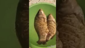 Рыба на пару в мультиварке ( карась ) / готовим быстро и вкусно / как вкусно приготовить рыбу