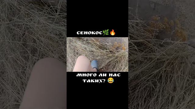 много ли нас таких?Напиши в комментариях 🔥🤝