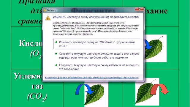 Фотосинтез зеленых растений смотреть онлайн