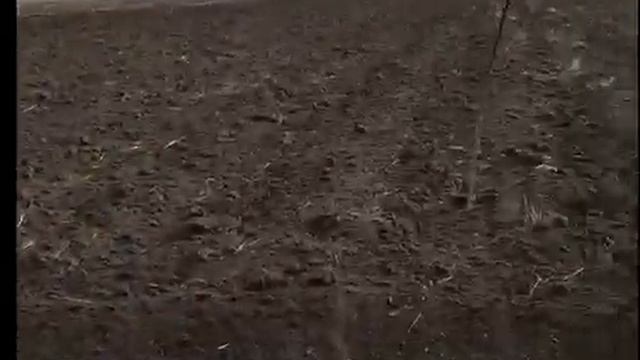 Сеем медоносы смотреть онлайн