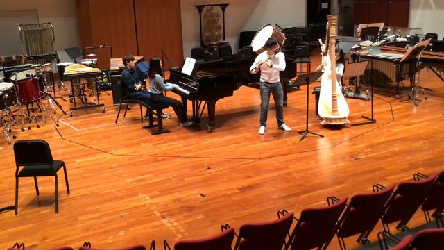 Mozart Flute and Harp Concerto 2.Andantino Aaron Leung, Petite Chan смотреть онлайн