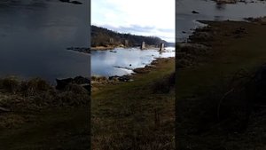 Новоград-Волынском в Житомирской области загрязнения реки Случ