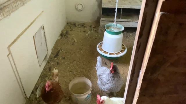 моя ошибка планирования ДВОРА / везу МАМЕ вкусняшки и ЛЕДОСТУПЫ смотреть онлайн