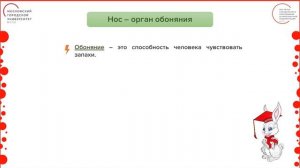 3 класс. Окружающий мир. Органы чувств. Повторение