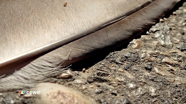 OLYMPUS TG-5 - recenzia смотреть онлайн