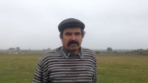 Касилов Анатолий рассказывает о Племрассаднике Холмогорских гусей.