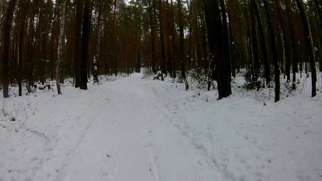 На велосипеде зимой в лесу.