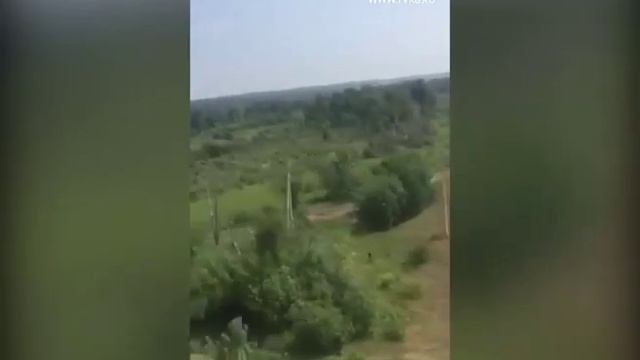 Паводки в Новобирюсинске, р. Бирюса смотреть онлайн