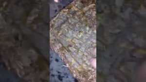 Как легко размельчить калмыкский чай, при помощи микроволновки или любой печки????