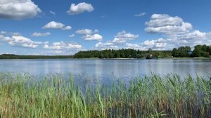 Панорама пруда с санаторского пляжа