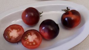 Восьмой цвет радуги овощей.Томат Хамелеон.