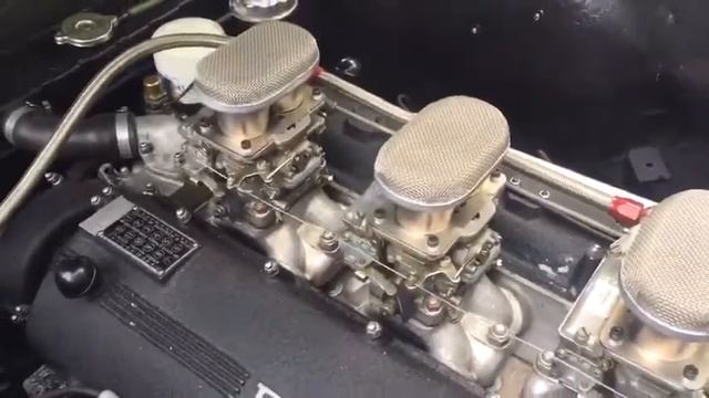 FERRARI 250 GT SWB REBODIED Engine