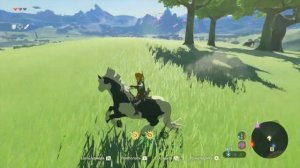 ? Как приручить Психованного Коня в Zelda Breath of the Wild гайд туториал