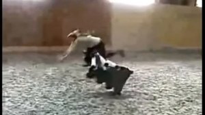 Неудачные падения девушек с лошади