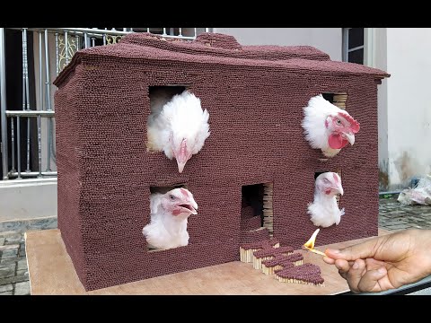 Эксперимент: дом из 2 000 000 спичек VS 4 курицы