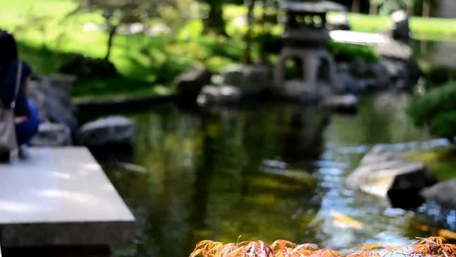 Unboxing & Video Tests: Hoya 58mm (UV + Circular Polarising + ND8 filters) & Pouch смотреть онлайн