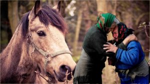 Вся деревня была в слезах когда узнали кто им вернул любимую ЛОШАДЬ