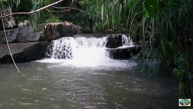 Камбоджа.Провинция Кампонг Спы,национальный парк Кирирум.часть 1
