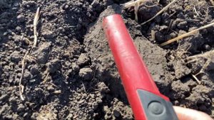 Быстрый тест пинпоинтеров Mars, Sphinx, XP, GP-Pointer