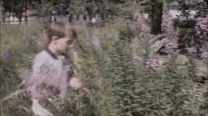 Когда наш мир вдруг стал жестоким  ?