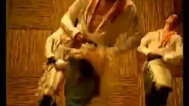 Sofiya_rotaru___odna_kalina.flv