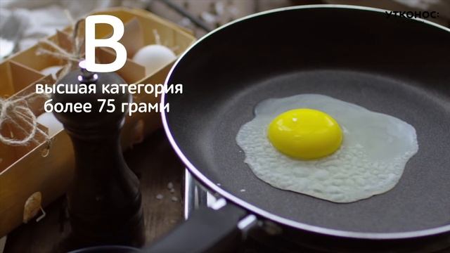 Всё о курином яйце: рассказывают эксперты SUPER смотреть онлайн
