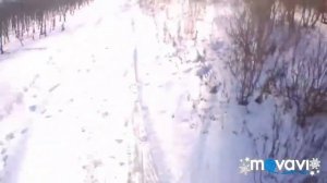 Мотобуксировщик МУЖИК 15л.с.