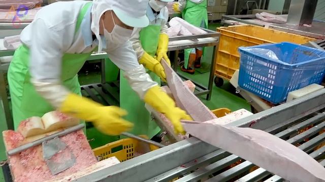 Cut 20 Tons of Tuna per Day. Korean Seafood Factory смотреть онлайн