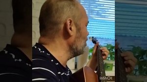 Стас Куташов.