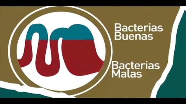 Pro Plan - Digestion en los cachorros