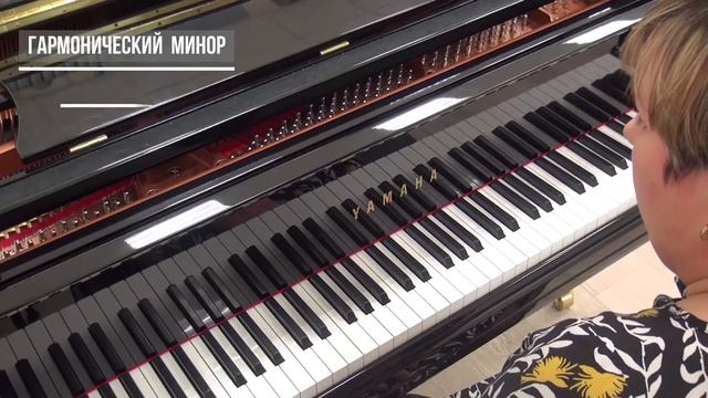 Морозова Е.Г. 2 класс. ТРИ ВИДА МИНОРА. ПАРАЛЛЕЛЬНЫЕ ТОНАЛЬНОСТИ