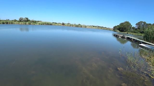 Проект "Аренда водоёма" 35 (ДР) смотреть онлайн