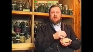 Аир болотный. Применение, лечение, свойства, рецепты народной медицины