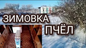 Мороз усиливается -23C. Пчёлы зашумели. Подключаю обогрев пчелопавильона.