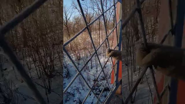 Поезд смотреть онлайн